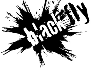Black Fly Beverage